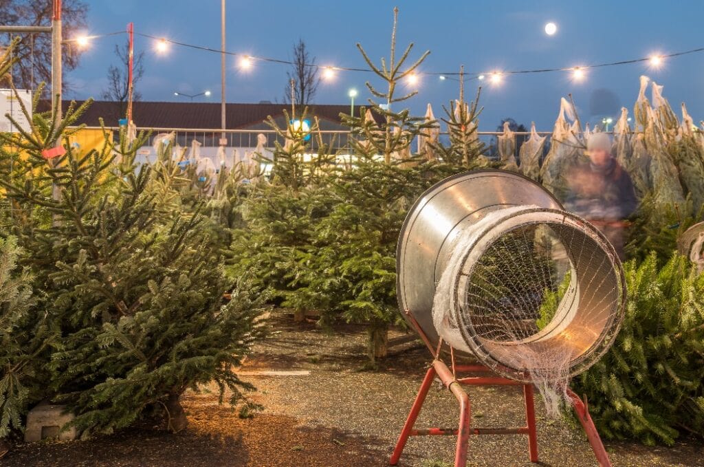 Weihnachtsbaum Verkauf während der Nacht
